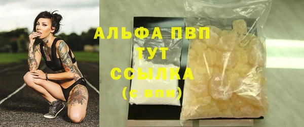 ешки Богданович