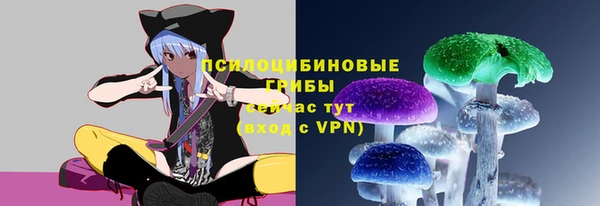 ешки Богданович