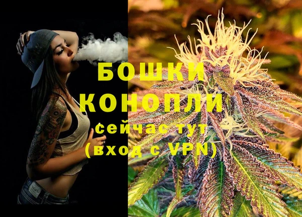 ешки Богданович