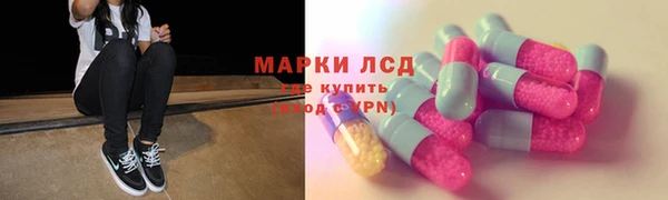 ешки Богданович