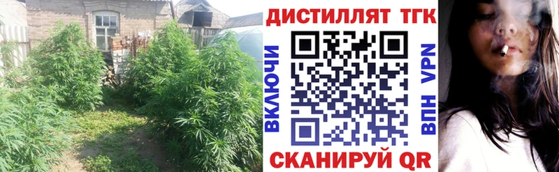 Купить закладки Лихославль Дистиллят ТГК жижа